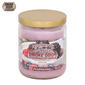 Mulberry & Spice Candle by Smoke Odor Exterminator - Image 1
