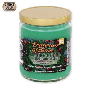 Evergreen and Berries Limited Edition Candle par Smoke Odor Exterminator – Image 1
