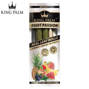 Fruit Passion Mini Cones (2/PCK) by King Palm - Image 1