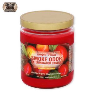 Sugar Plum Limited Edition Candle by Smoke Odor Exterminator - Image 1