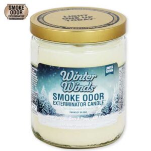 Winter Wind Limited Edition Candle par Smoke Odor Exterminator – Image 1